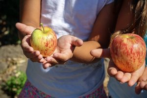 Girls holding apples in palm of hands
