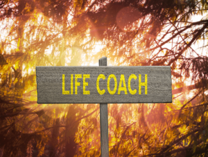 wooden sign with life coach written on it on forest background